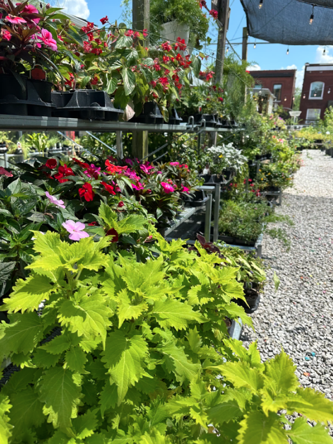 Screen Shot 2025-12-17 at 12.39.38 PM.png