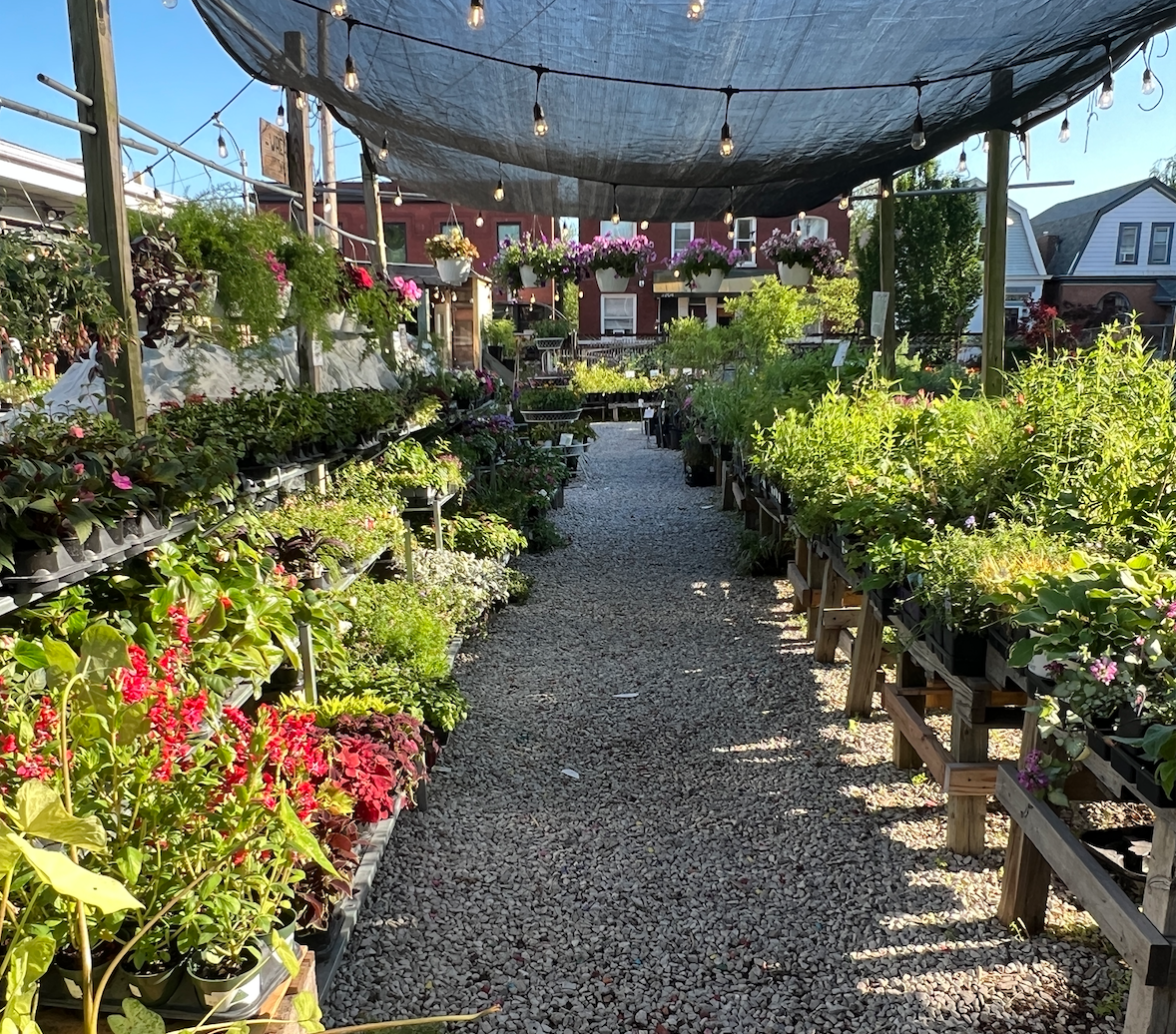 Screen Shot 2025-12-17 at 12.40.42 PM.png