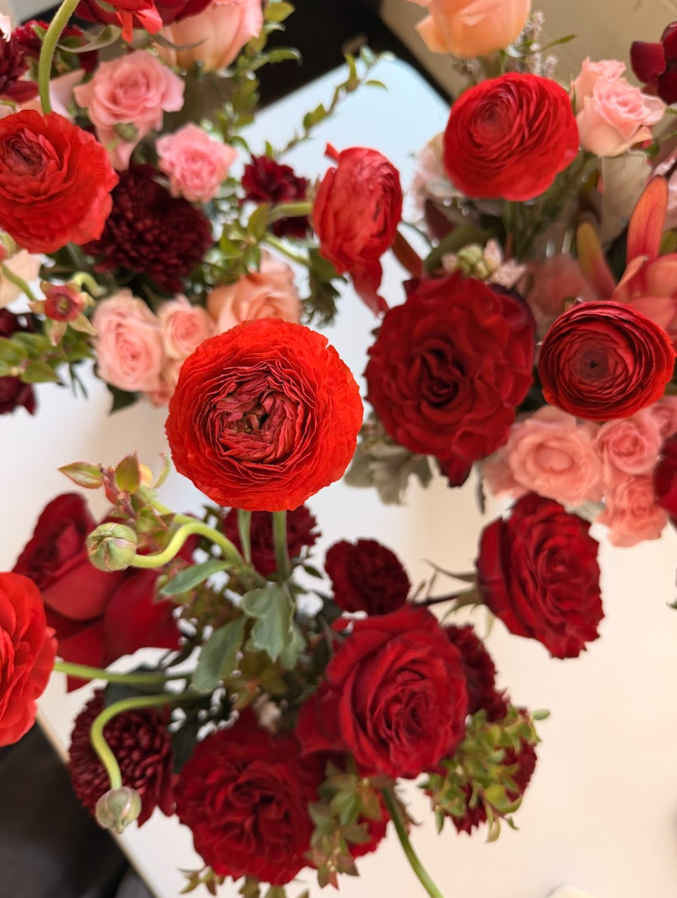 Screen Shot 2026-01-20 at 1.16.30 PM.png