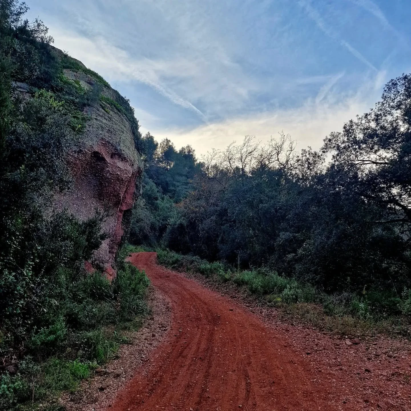 The magnificent trails starting right in front of Barcelona Health Club and leading to magnificent views of Montserrat