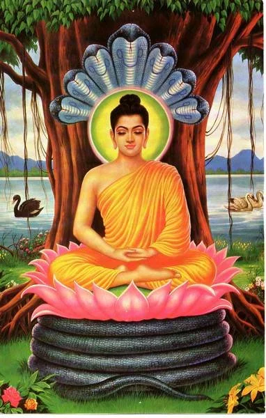 Buddha sitting cross-legged on a pink lotus flower, surrounded by a large snake coiled around the lotus, with a large tree and river in the background, and smaller snakes behind his head.