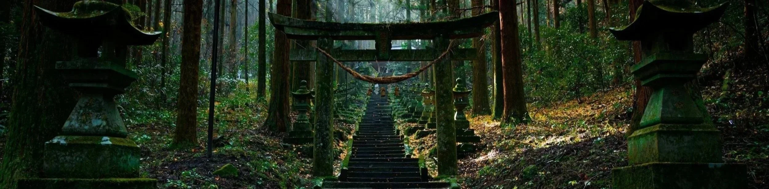 Stone steps leading up through a dense forest, flanked by traditional Japanese lanterns and a large torii gate at the entrance.