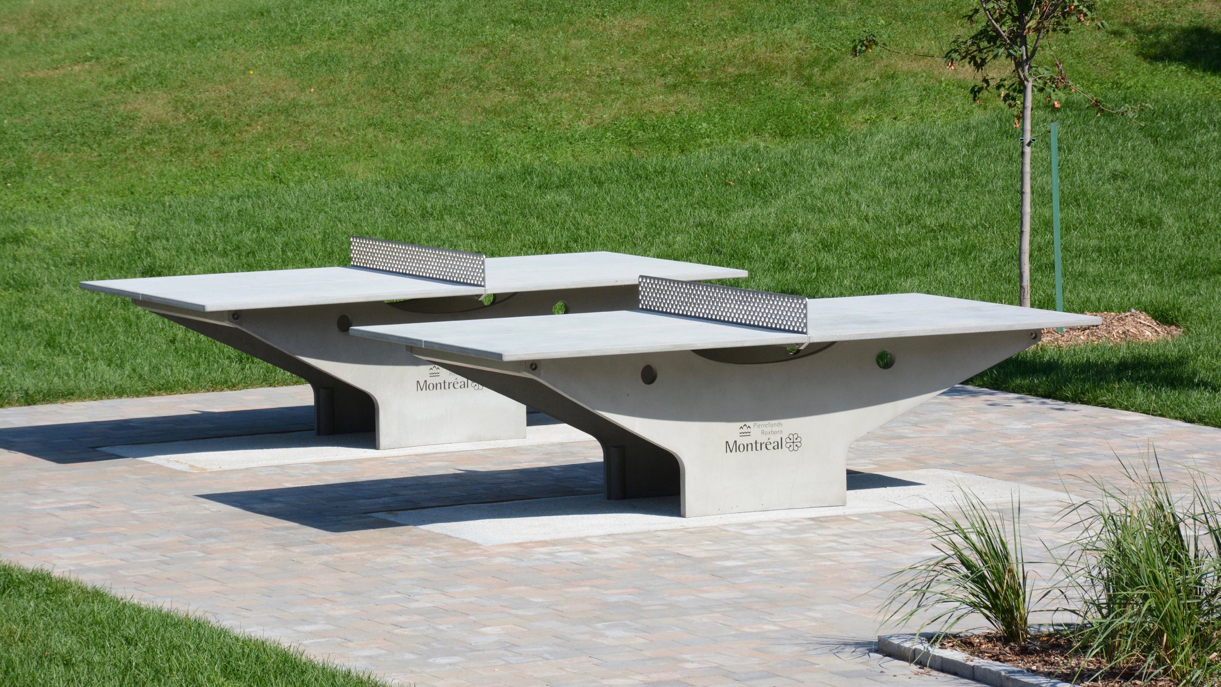 Table de tennis de table en plein air sur une surface pavée, avec de l'herbe verte environnante et un jeune arbre en arrière-plan.