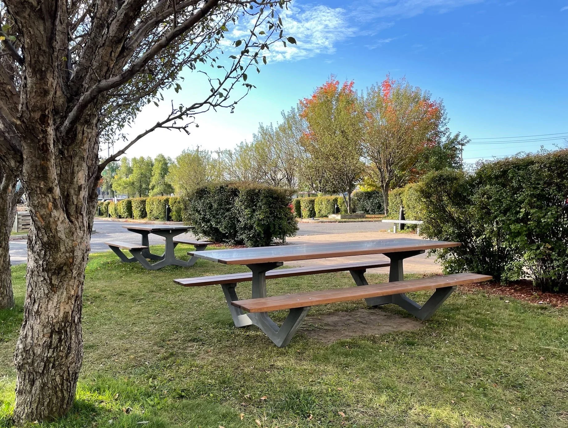 Tables de pique-nique en plein air sous des arbres avec un ciel bleu et des buissons verts en arrière-plan.