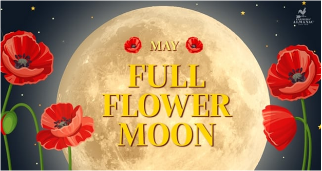 Your Moment of Awe- The    May 2026 Flower Moon