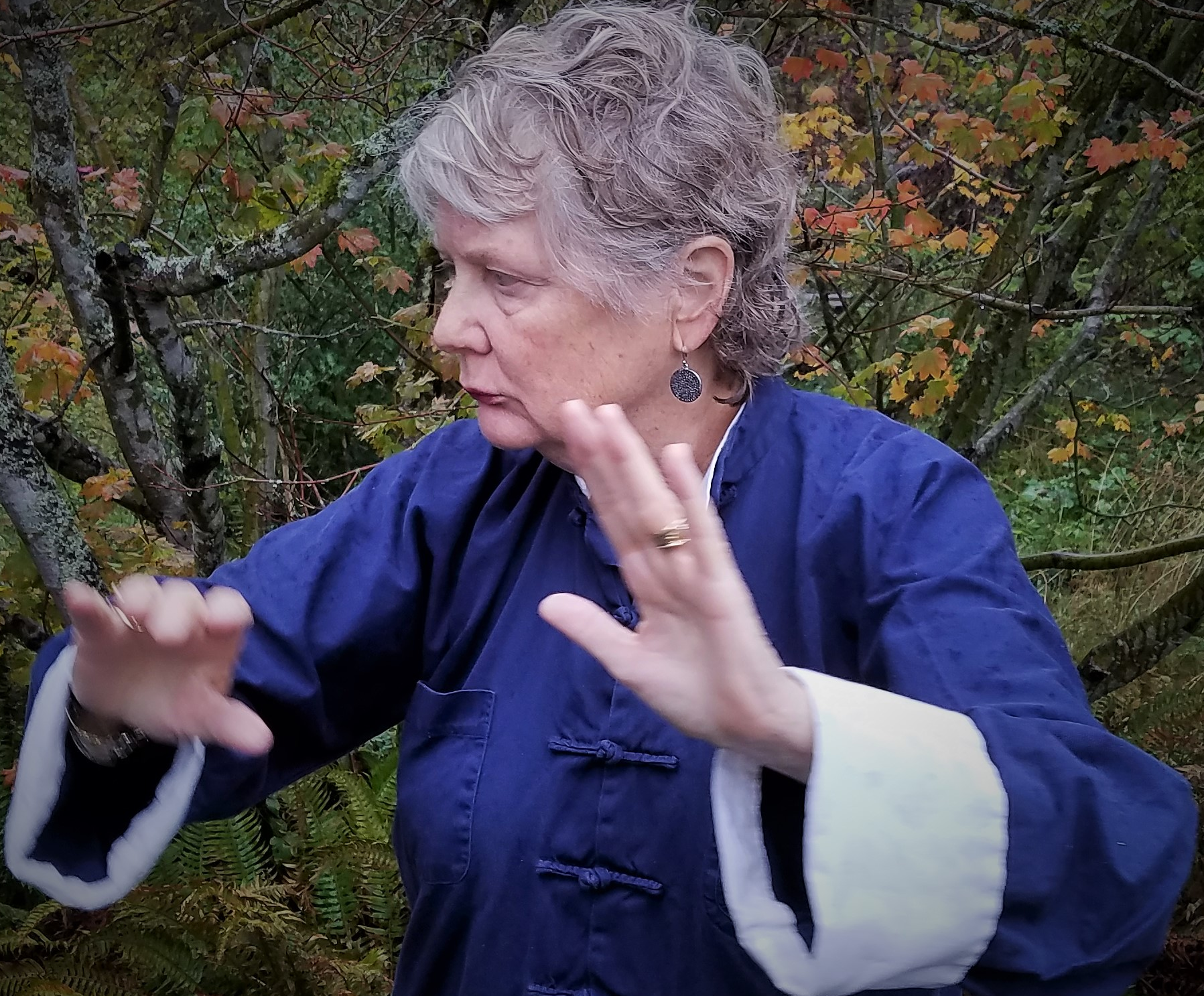 Linda’s Tai Chi: Accredited Program 