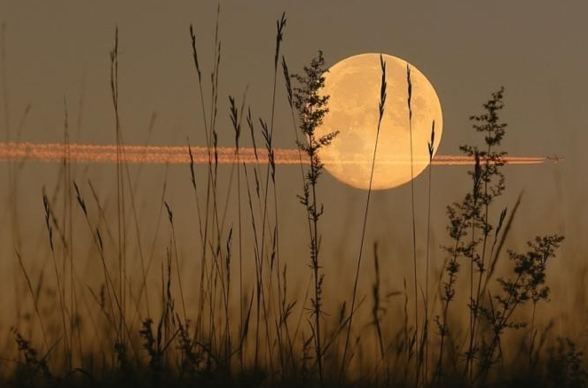 The Sturgeon Full Moon 