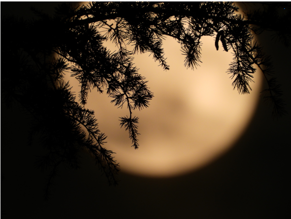 The Harvest Moon