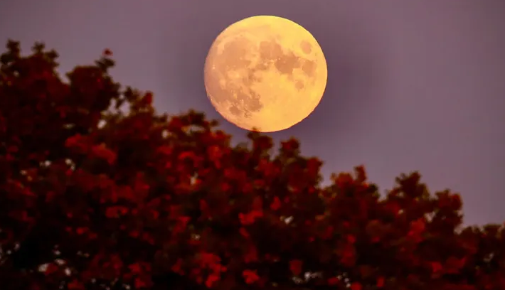 The Hunter’s Moon 