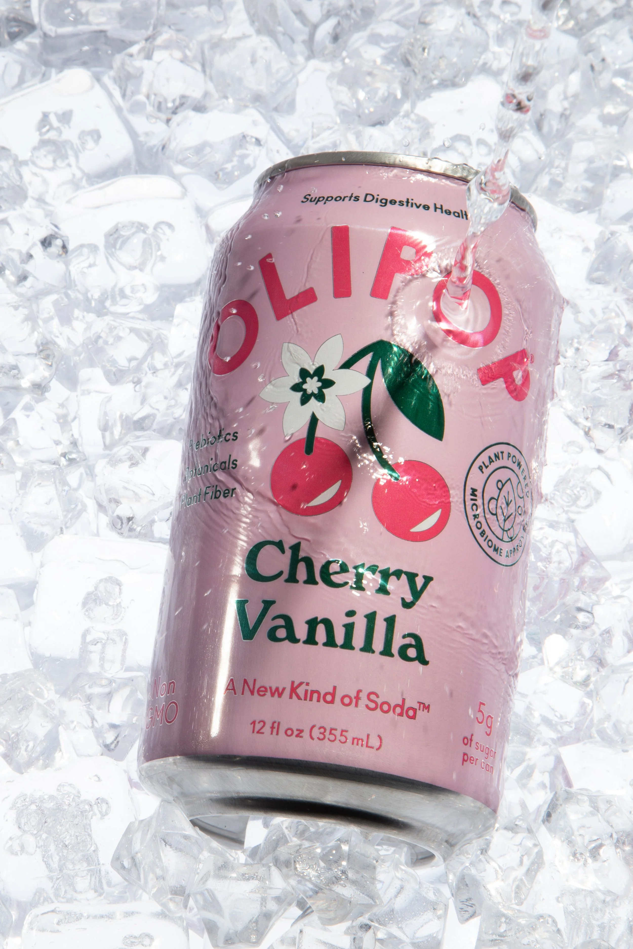 ice ice baby 20088.jpg