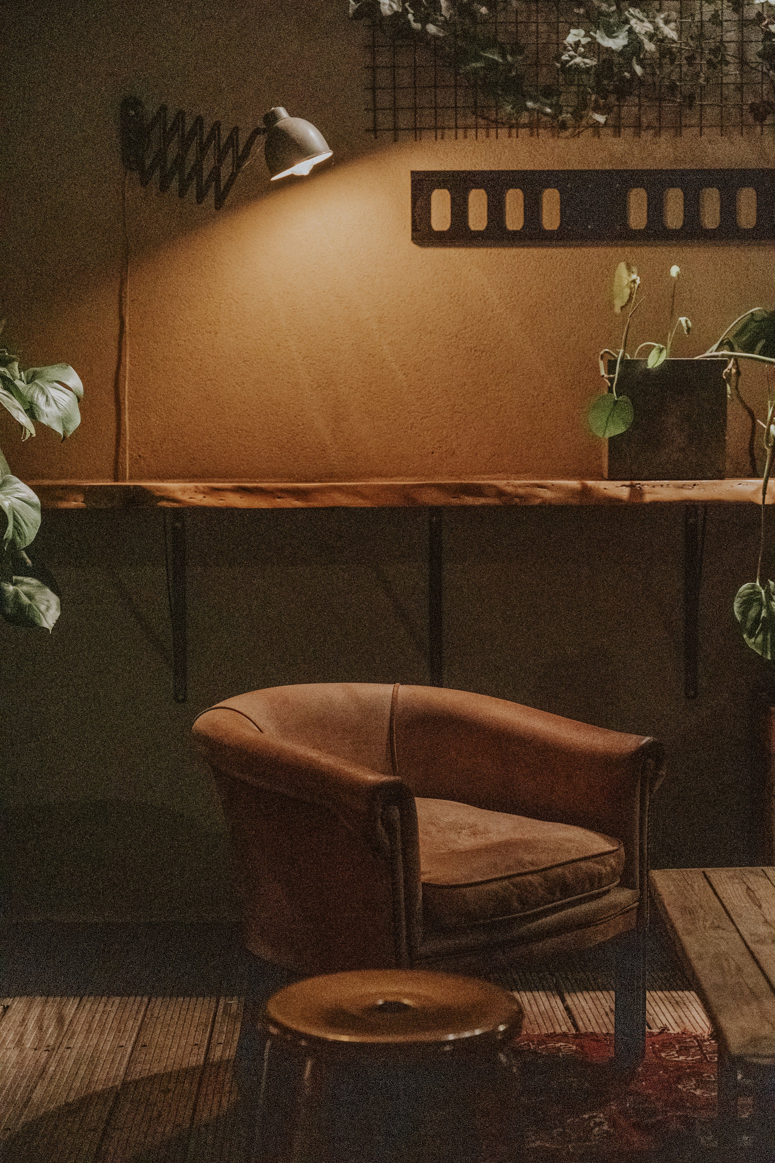 A7S09077.jpg