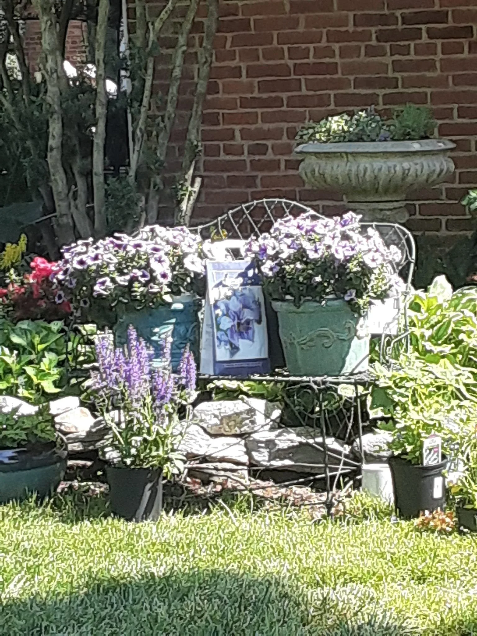 metal garden bench with potted flowers and garden stones