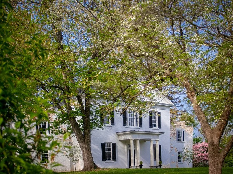 White historic house with black shutters, surrounded by large trees and green lawn, under a clear sky.