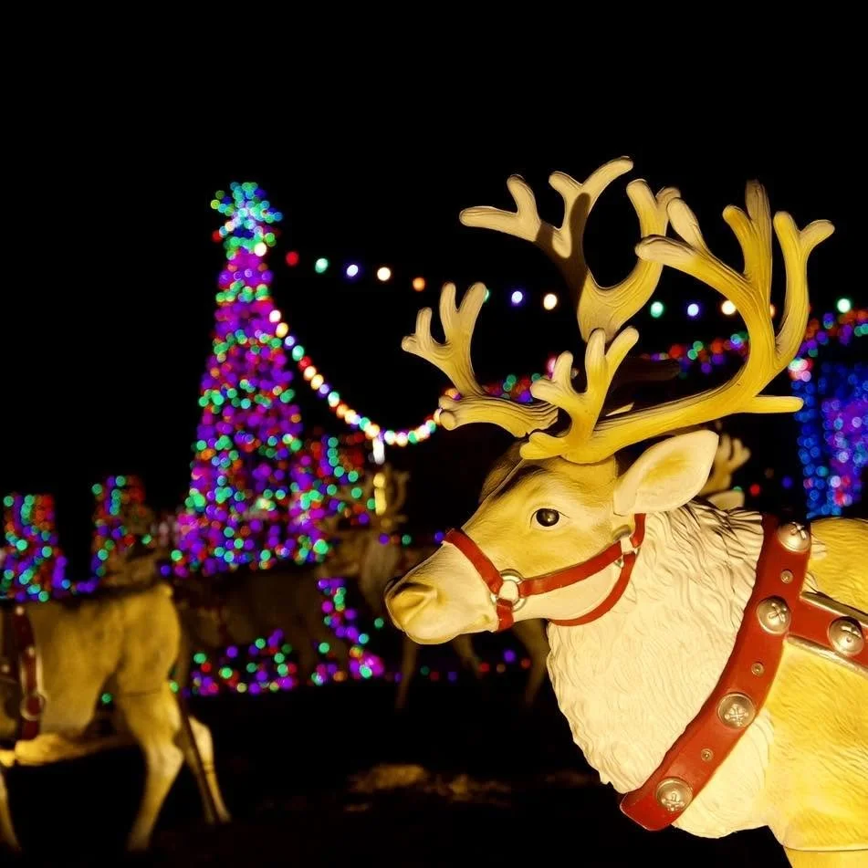 lightsonlake reindeer.jpg