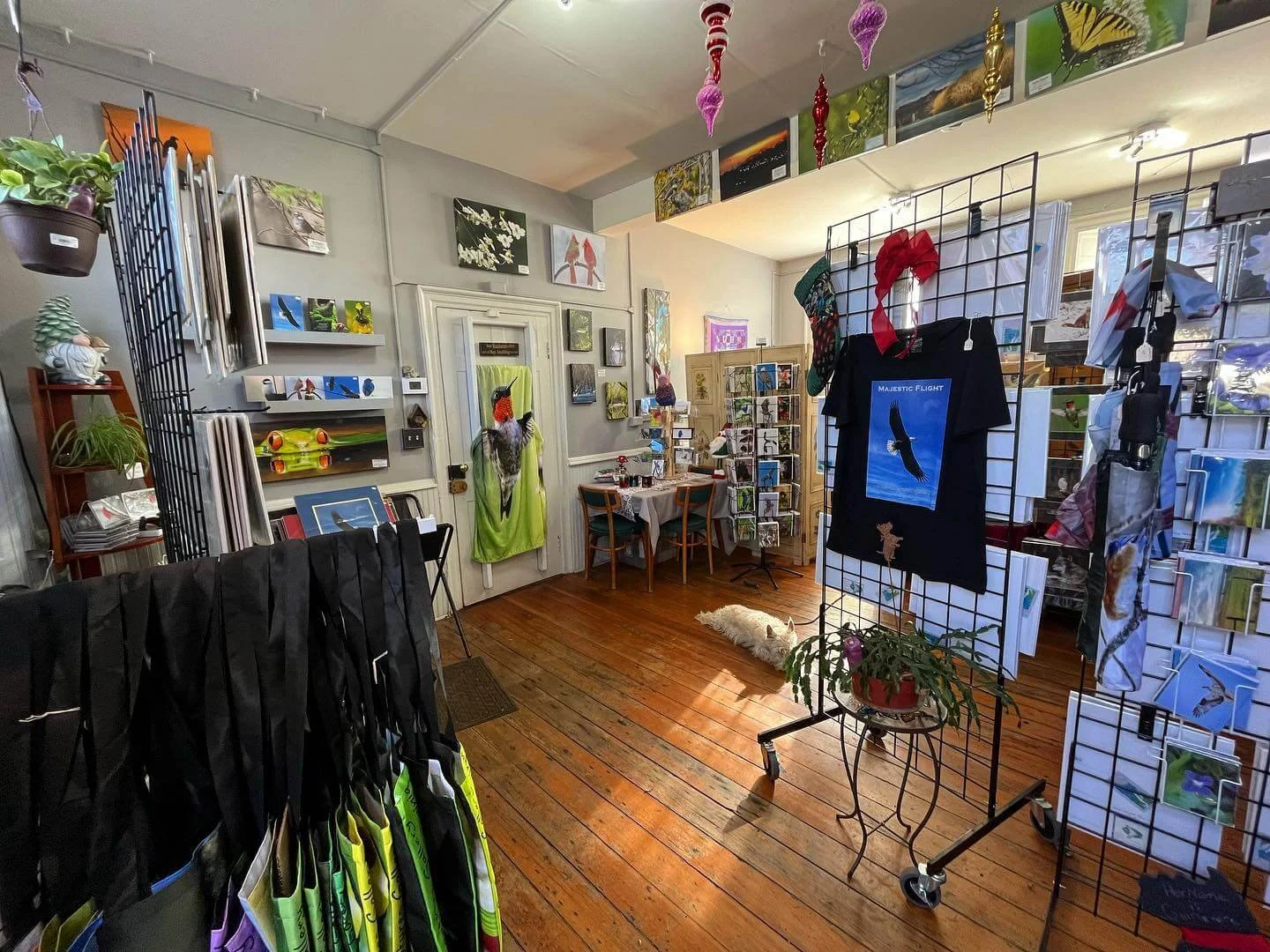 Cooper Captures Gallery