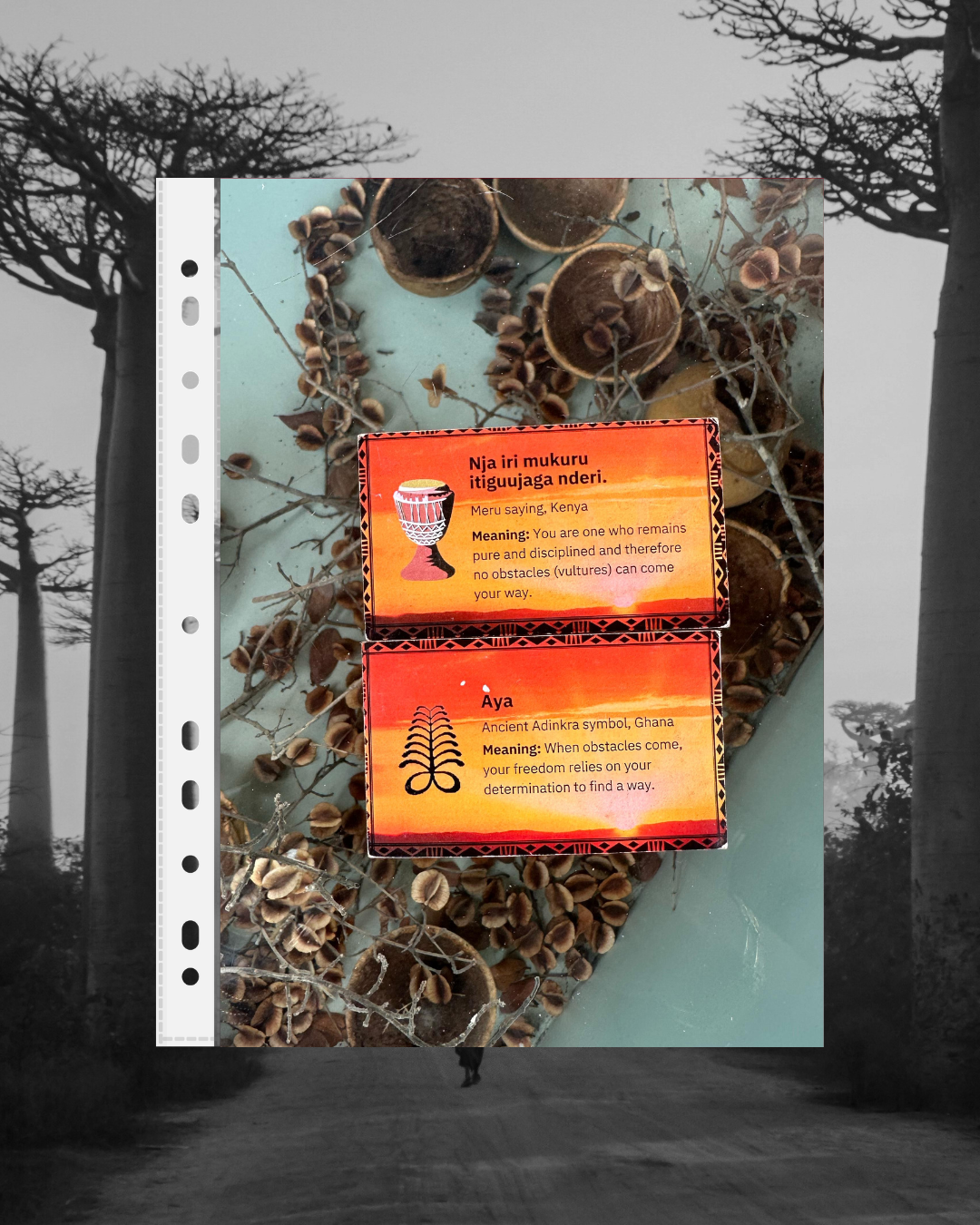 Two cards with traditional African symbols and meanings placed on dry plant branches, with a background of leafless trees and a cloudy sky.