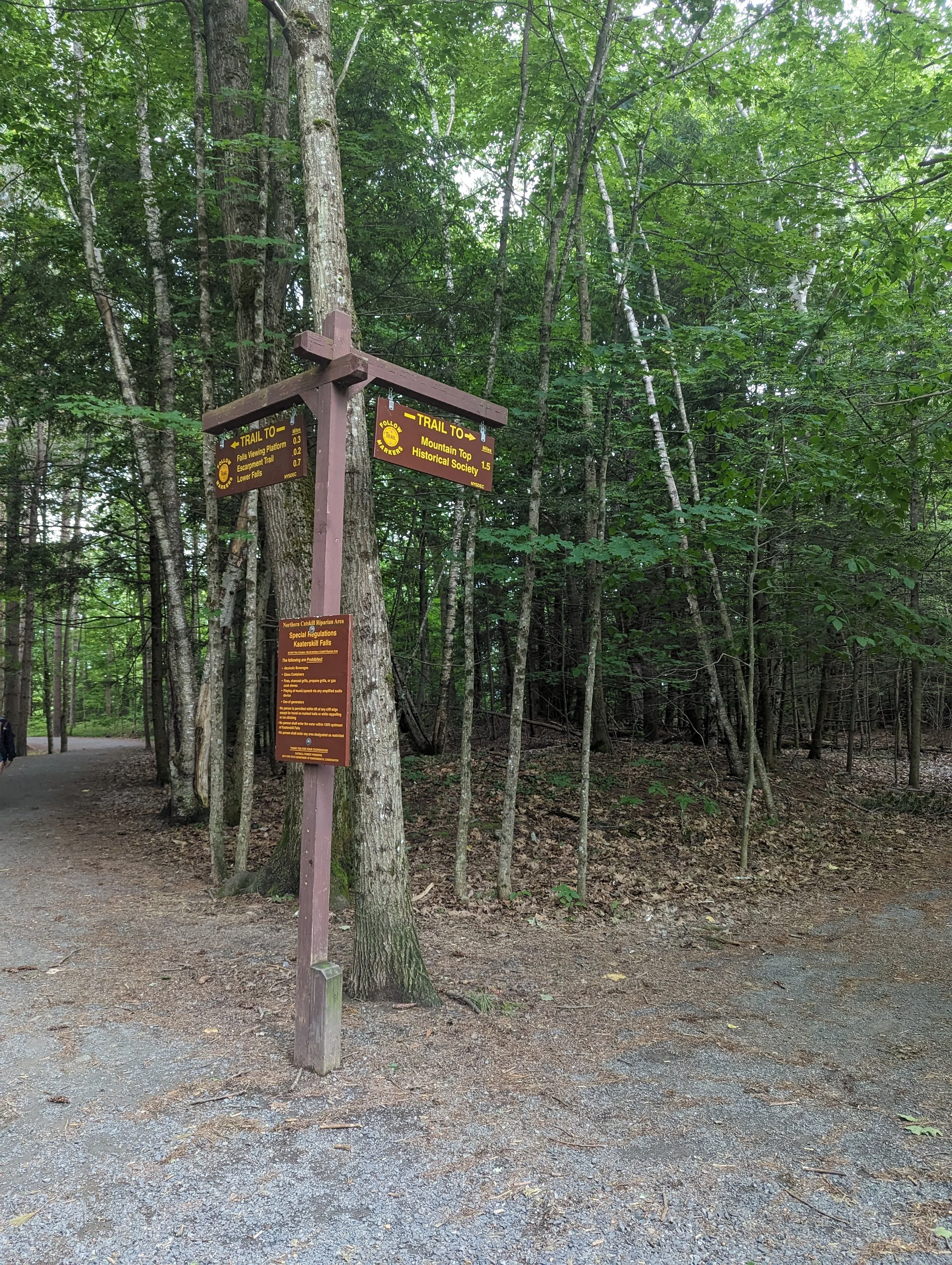 PXL_20240607_175839804.jpg