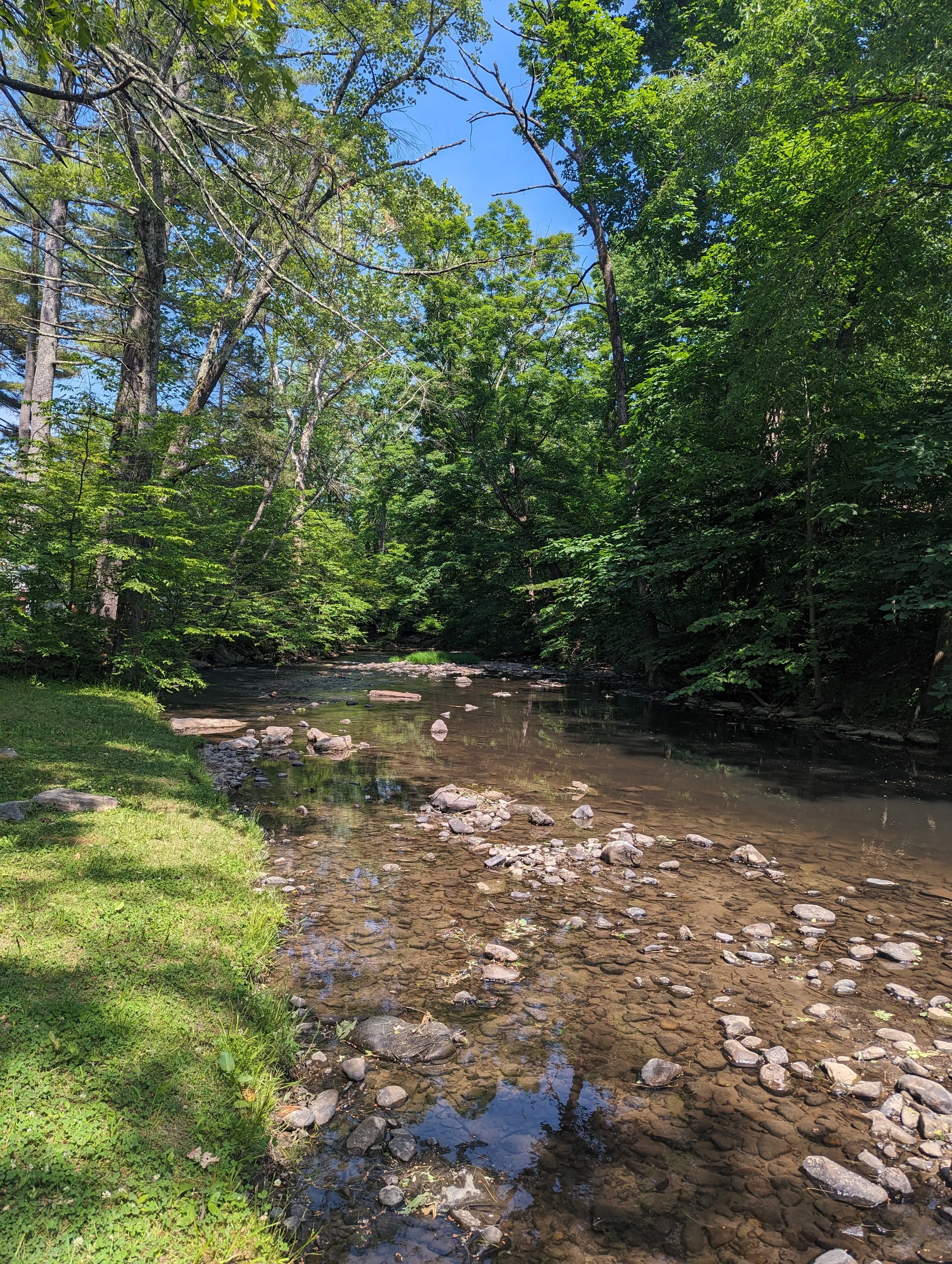 PXL_20240605_185029671.jpg