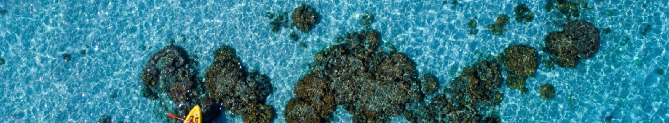Overhead view of a person kayaking around coral formations in clear blue water.