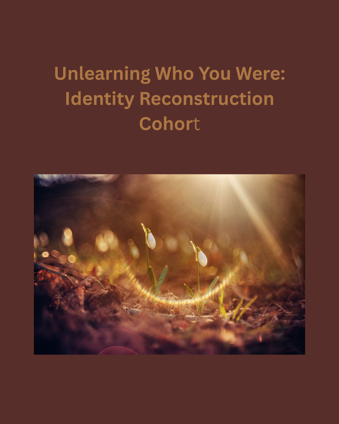 Unlearning Who You Were Identity Reconstruction Cohort.png