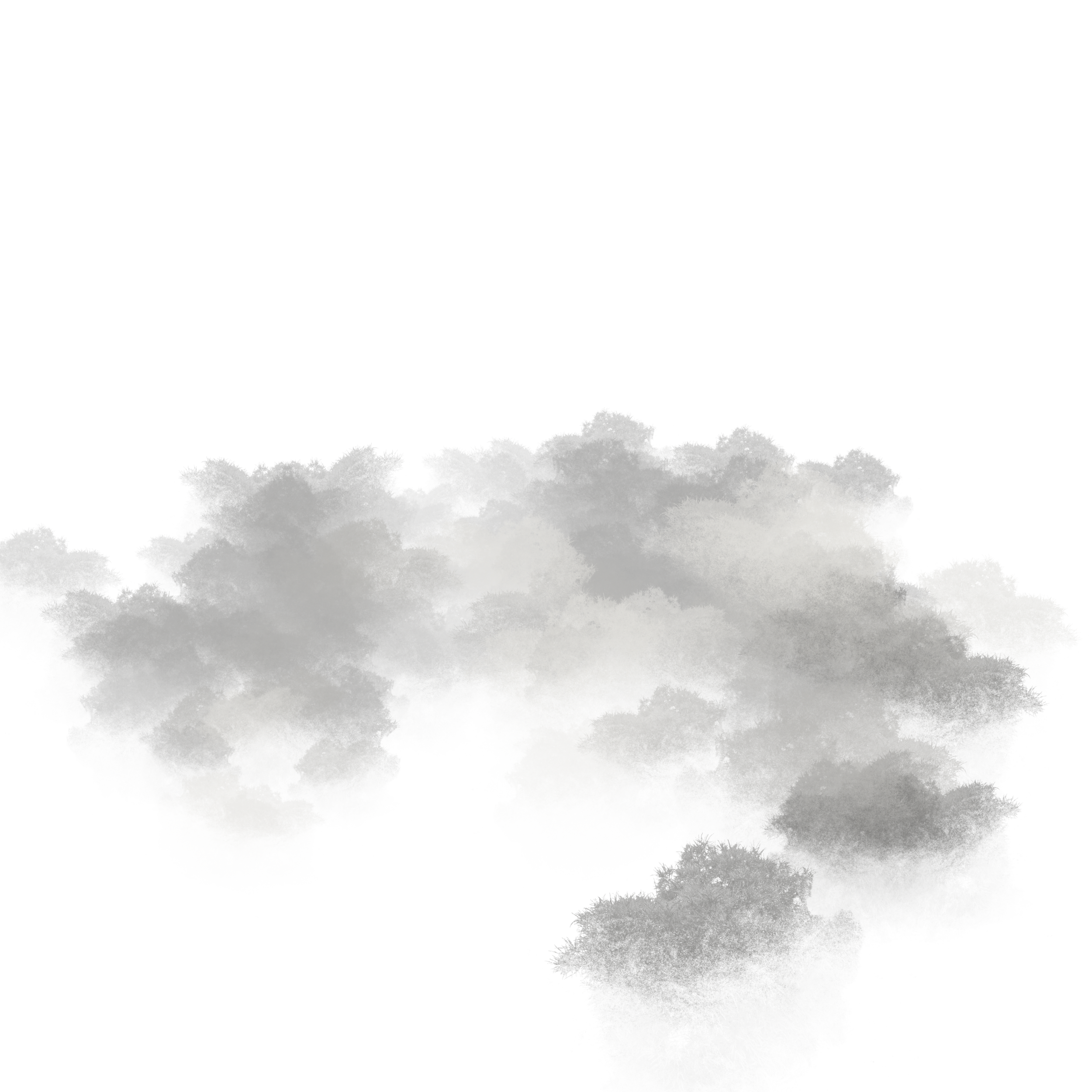 A cloud of gray and white smoke or fog.