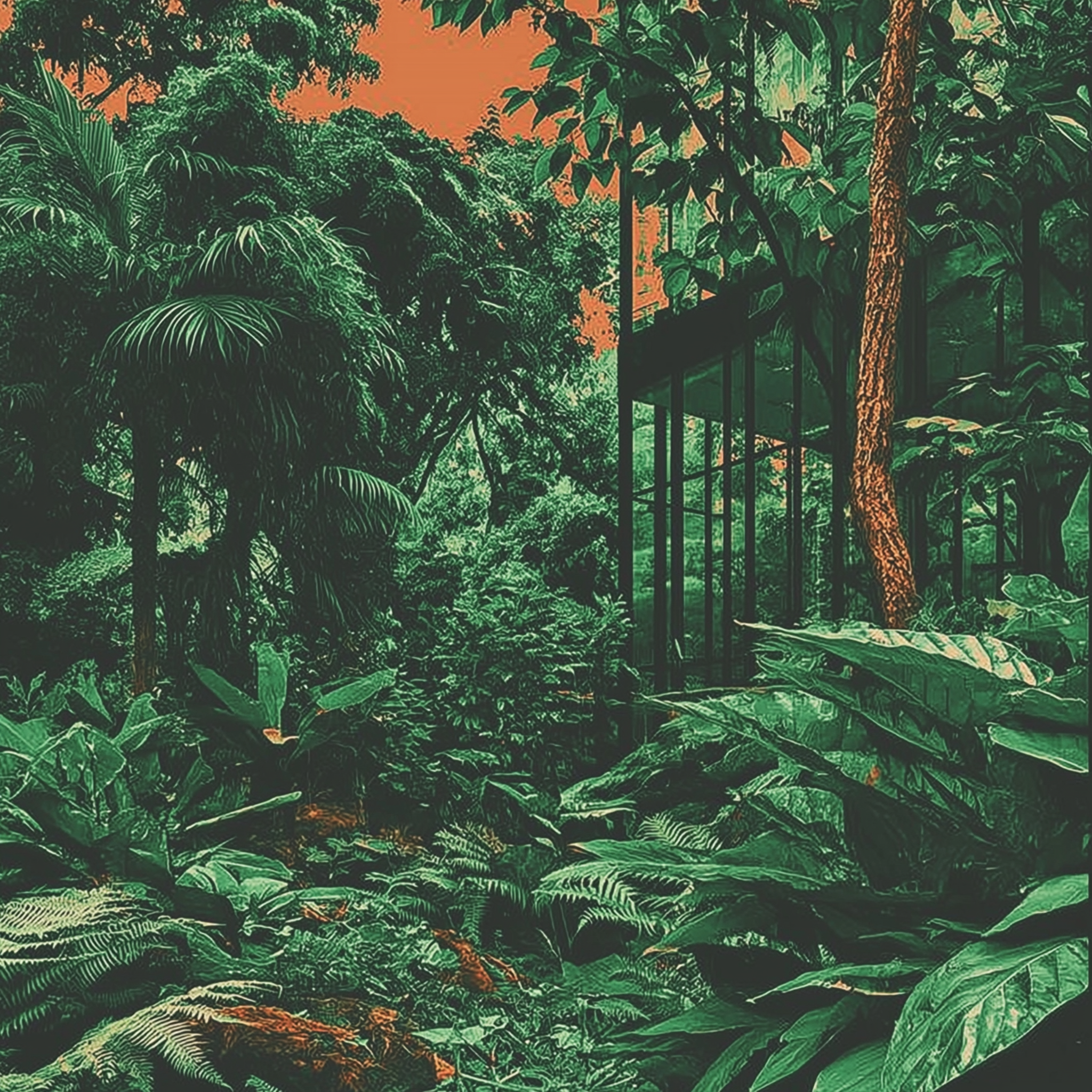 Lush green tropical rainforest with dense foliage and large leaves, with a small glass structure visible among the trees.