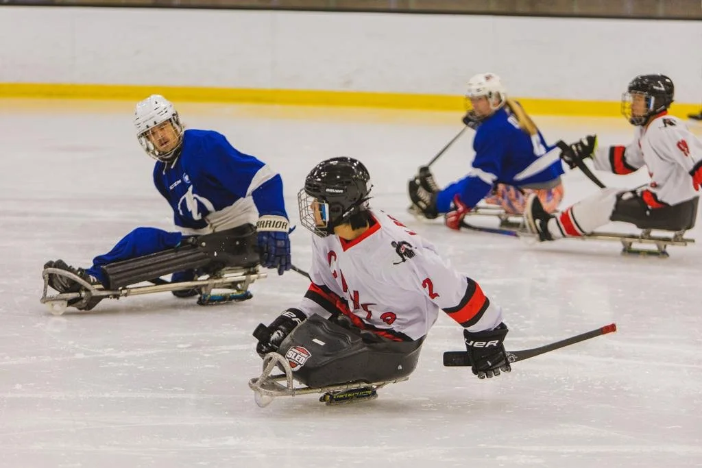 "Slip Into a Sled" at Midcoast Rec on March 30th, from 5:30-7pm! Slip Into a Sled is a hands-on sled hockey experience for players of all ages and abilities. Led by athletes from Northeast Passage, participants will learn the basics of sled