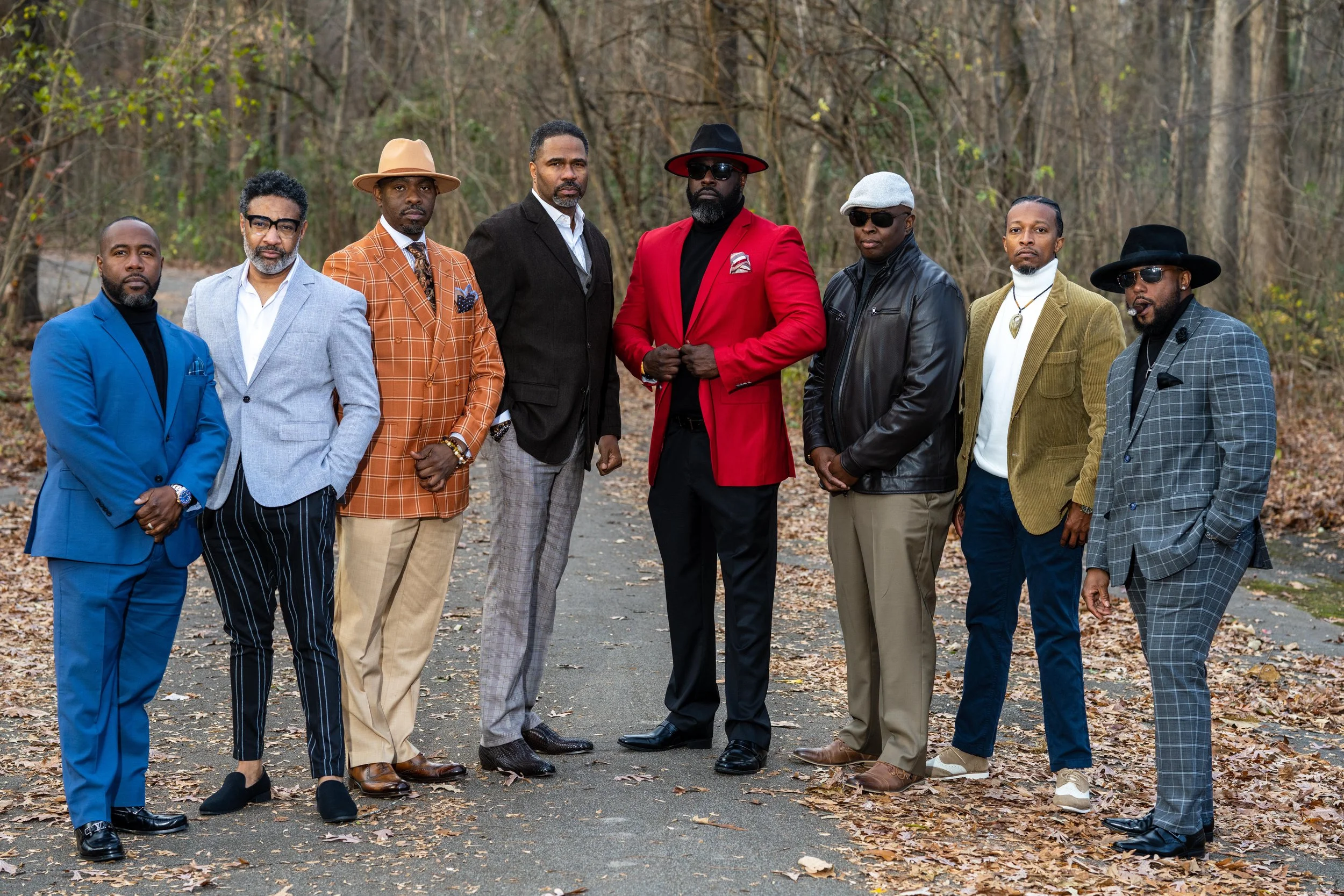 SIR - The Rise of Fall