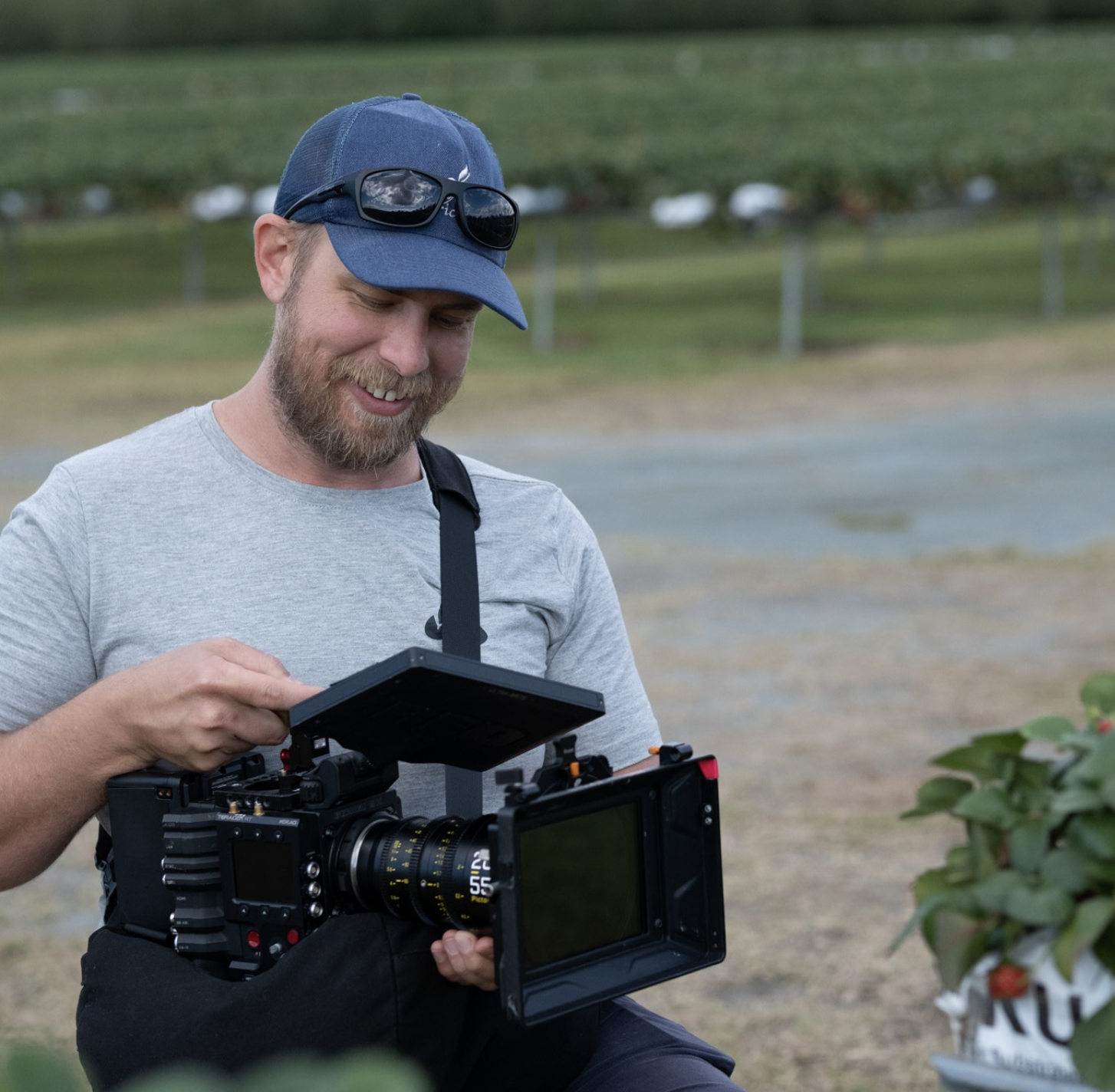 Pluggas - sunshine coast 