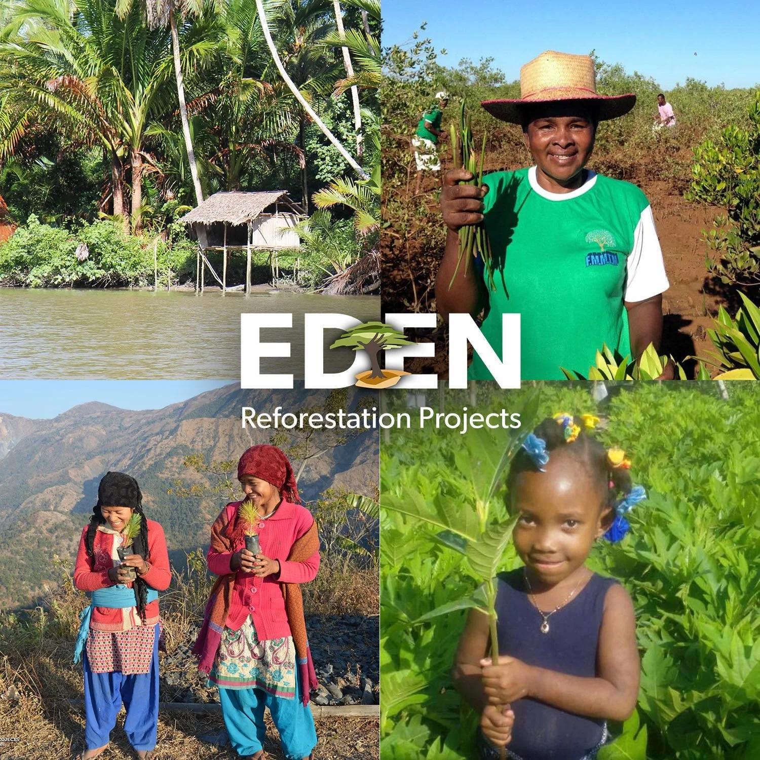 A collage of four images showing people involved in reforestation activities in scenic outdoor environments, with the logo and text 'EDEN Reforestation Projects' in the center.