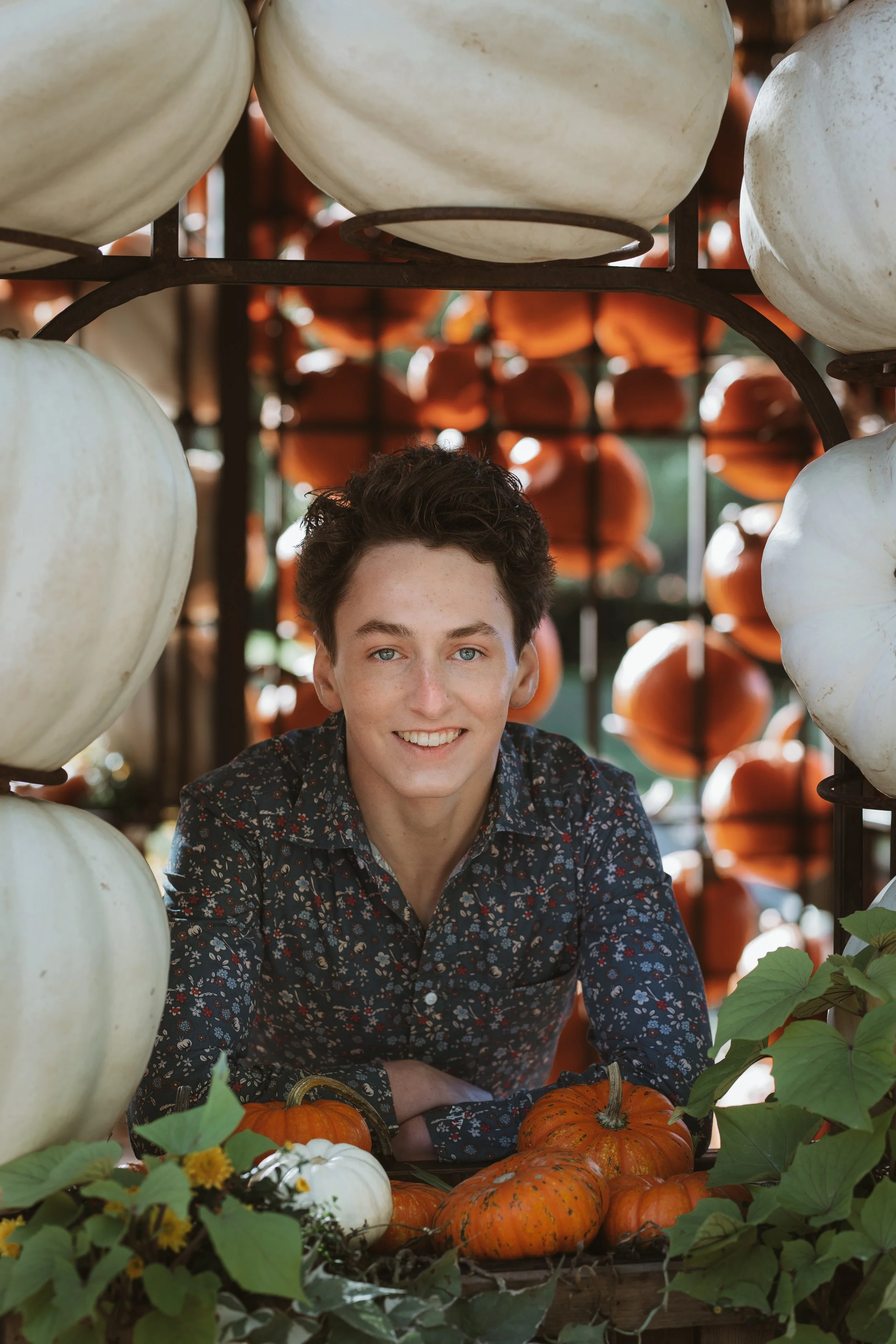wildgust photo portrait photography personal sessions cheekwood harvest