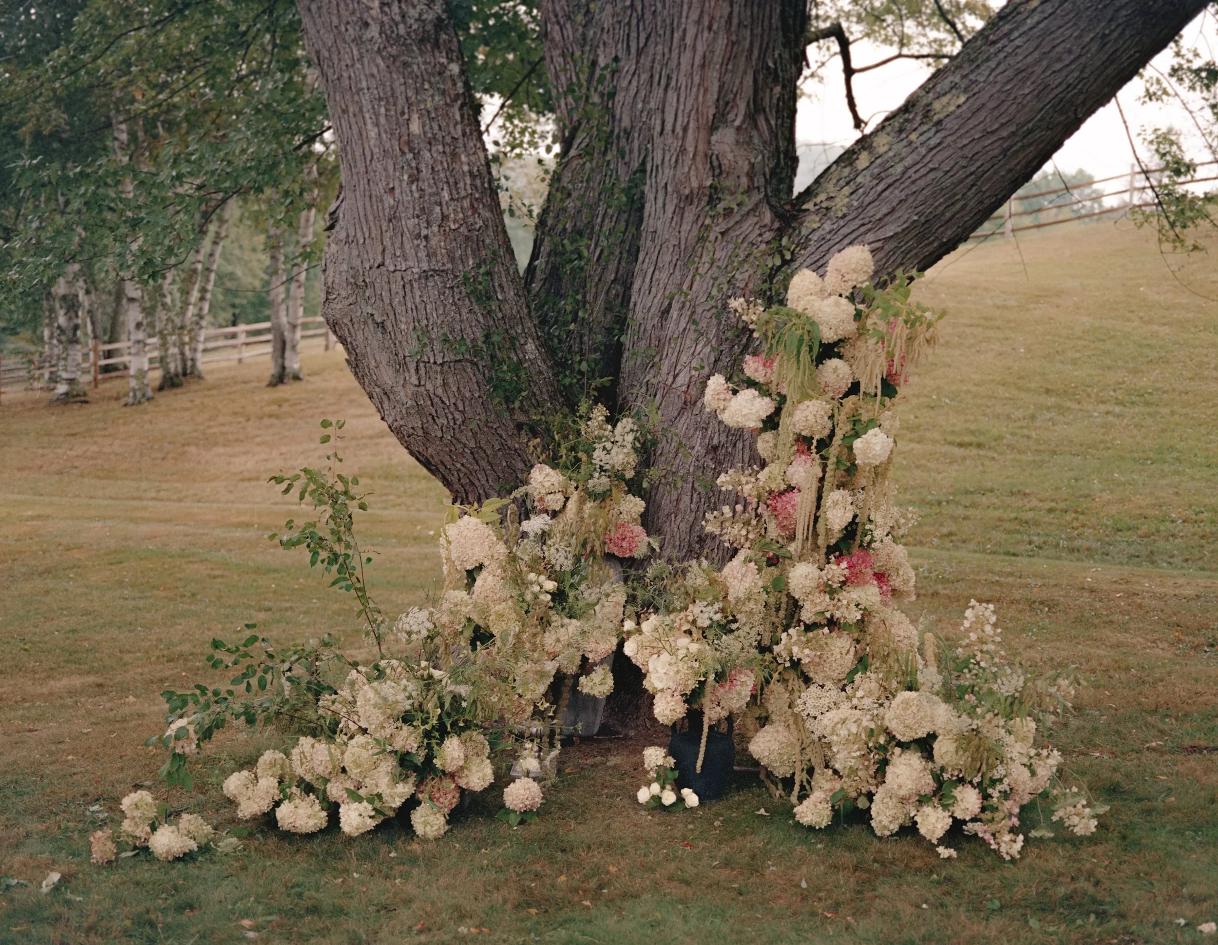 ElizabethJasonWedding-242.jpg