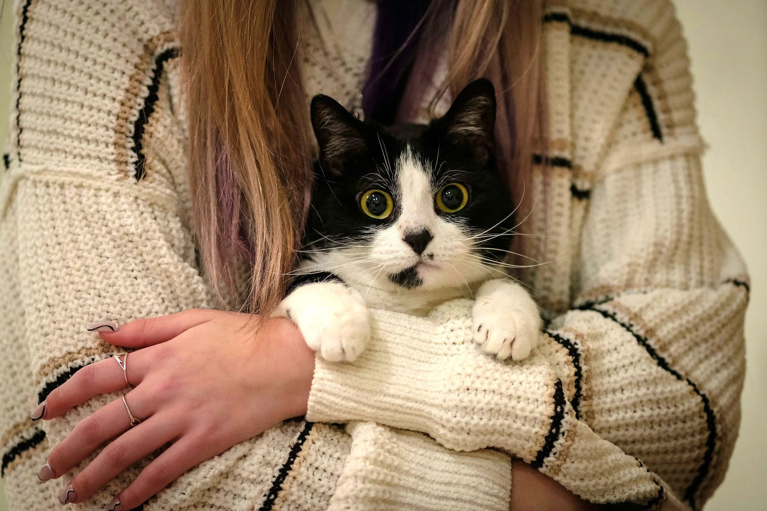 A person with long hair wearing a cream-colored knitted sweater with black stripes, holding a black and white cat with large yellow eyes.