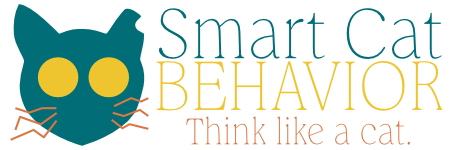 Virtual Cat Behaviorist | Fearful Cats, Aggression &amp; Litter Box Issues
