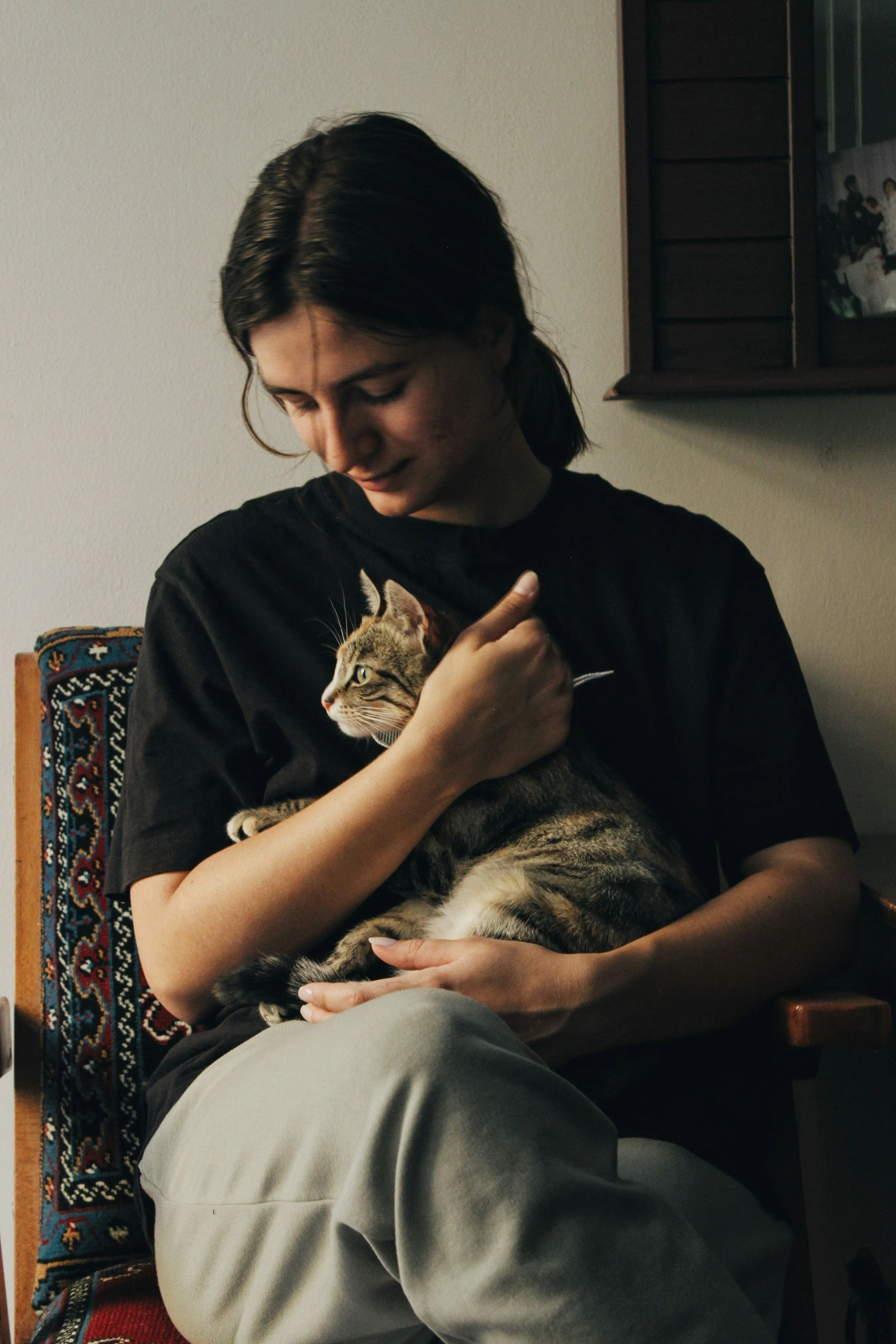 person holding cat