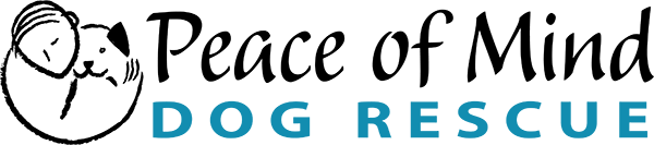 Text that reads 'Dog Rescue' in blue on a black background.