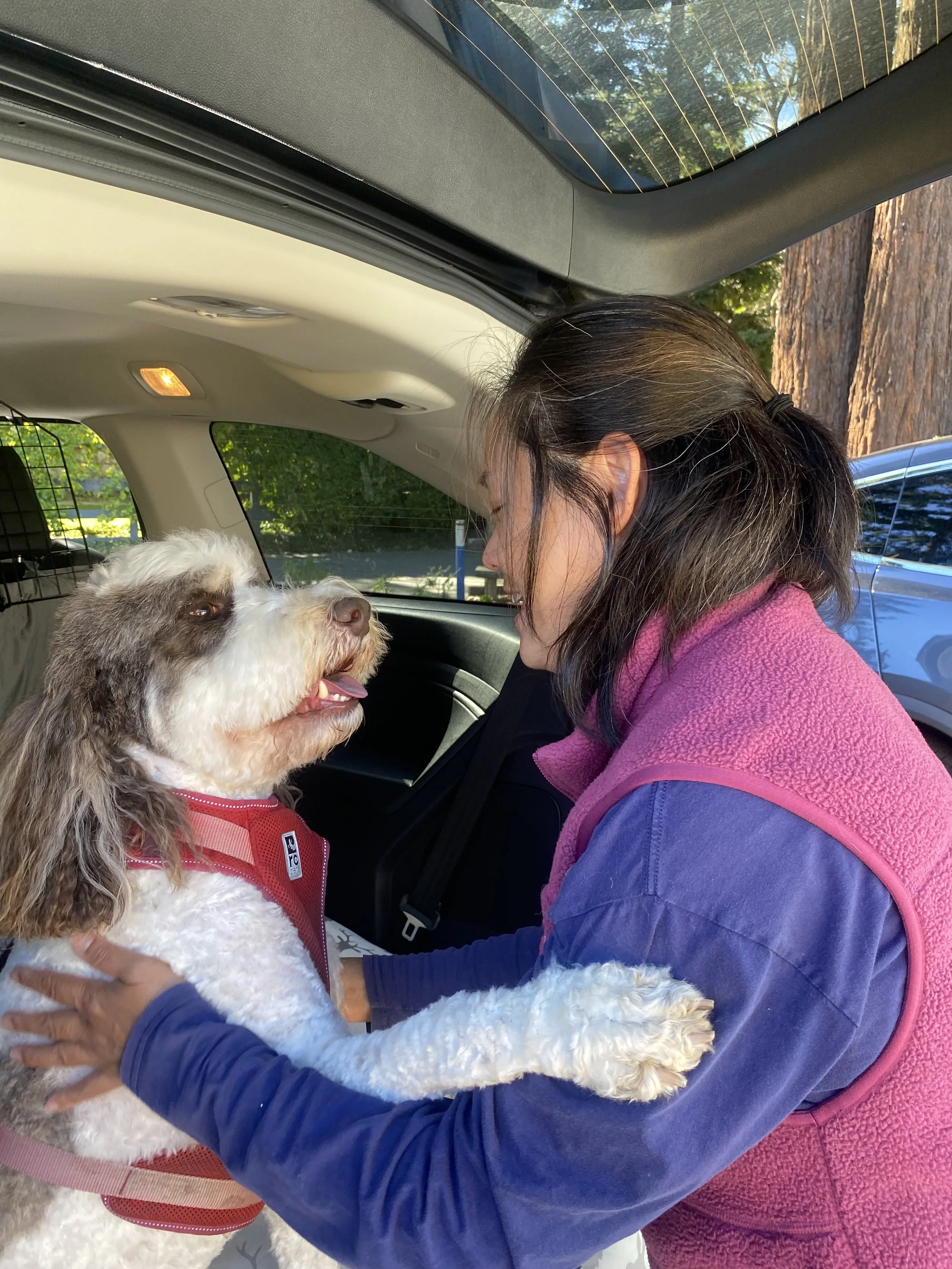 A woman hugging a white and brown dog inside a vehicle, with trees visible outside the open car door.