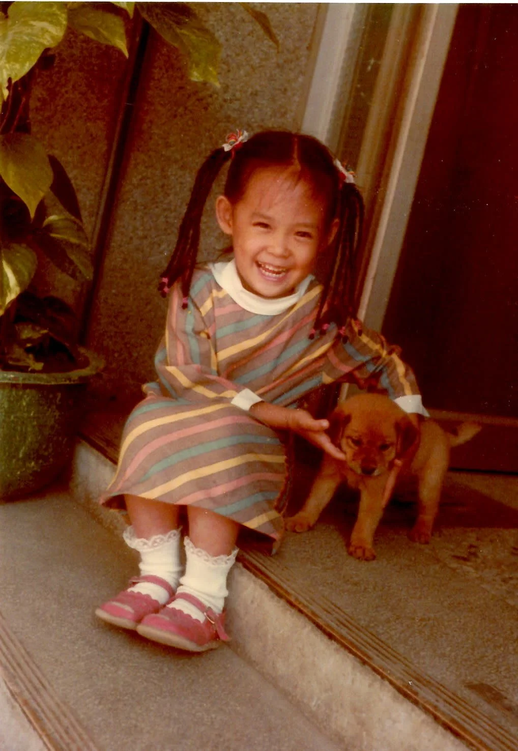 A young girl with pigtails and a wide smile, sitting on a step with a small brown puppy, inside a home with an indoor plant nearby.