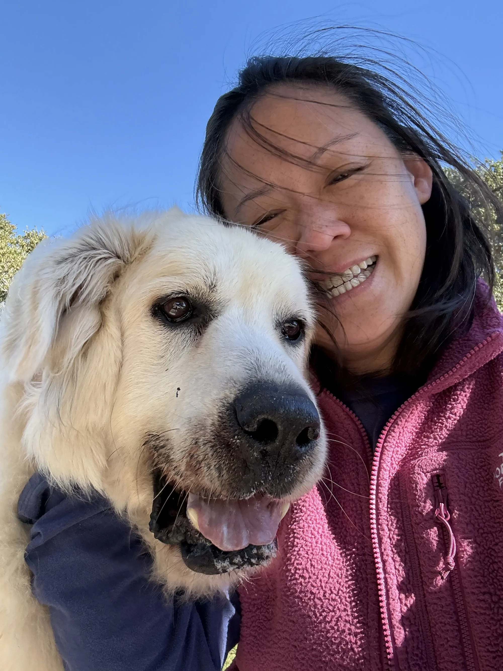 A woman smiling with wind-blown hair hugging a golden retriever dog outdoors against a blue sky.