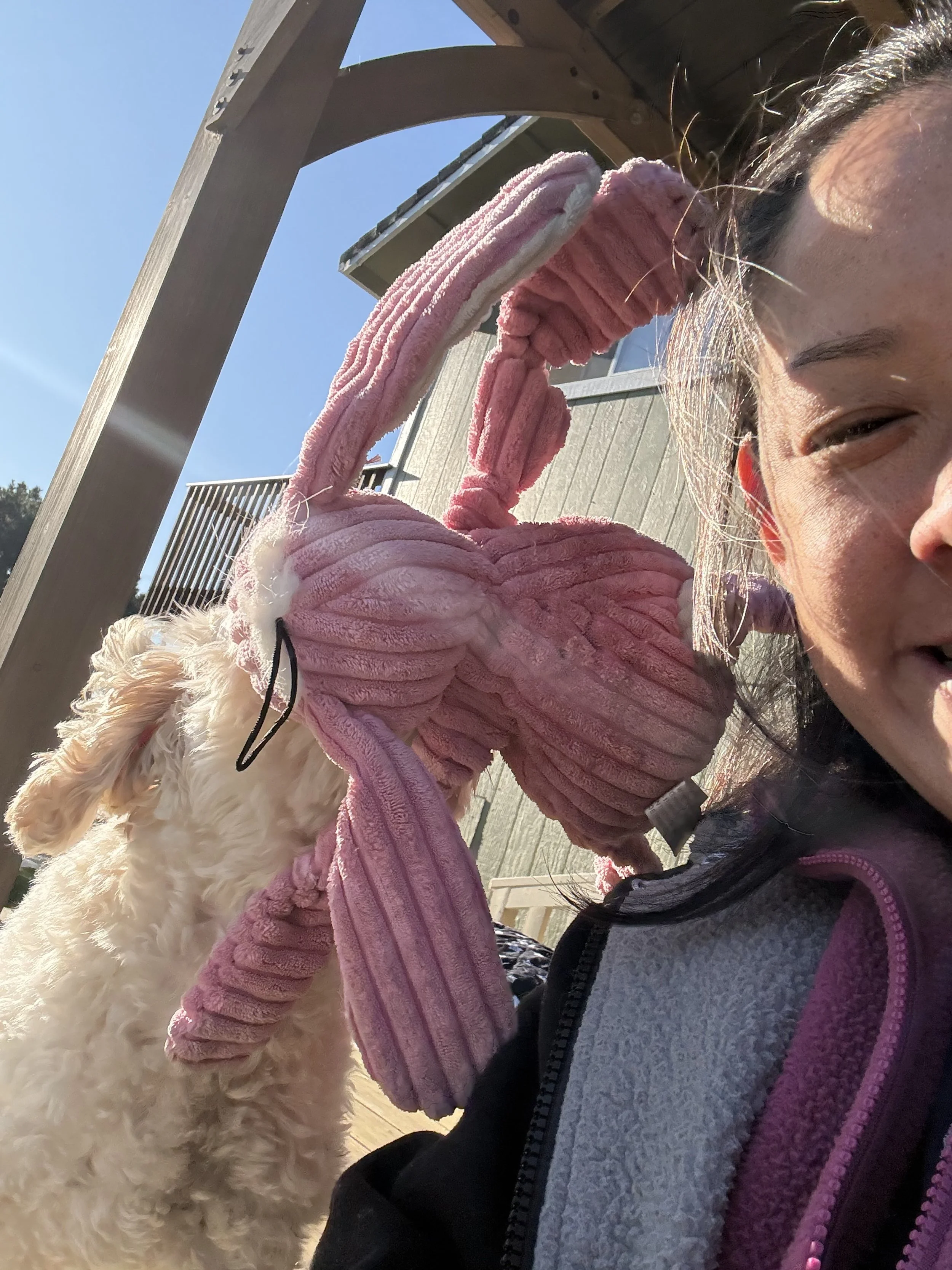 A smiling woman holding a pink stuffed flamingo toy, standing outdoors near a wooden structure on a sunny day.