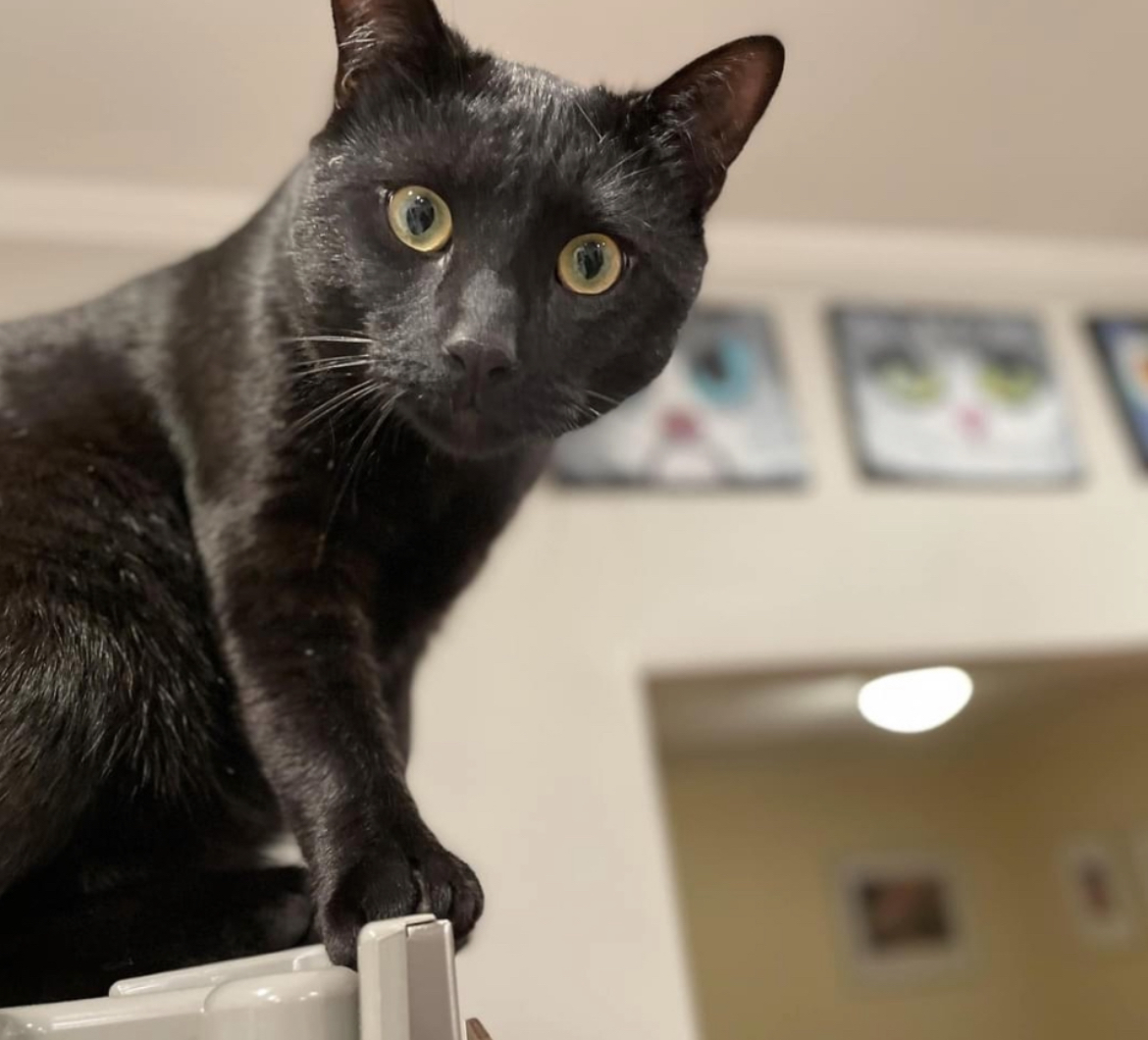 Always on the move and closely watching the world.