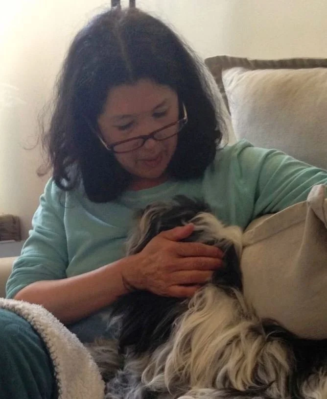 Lola - Tibetan Terrier