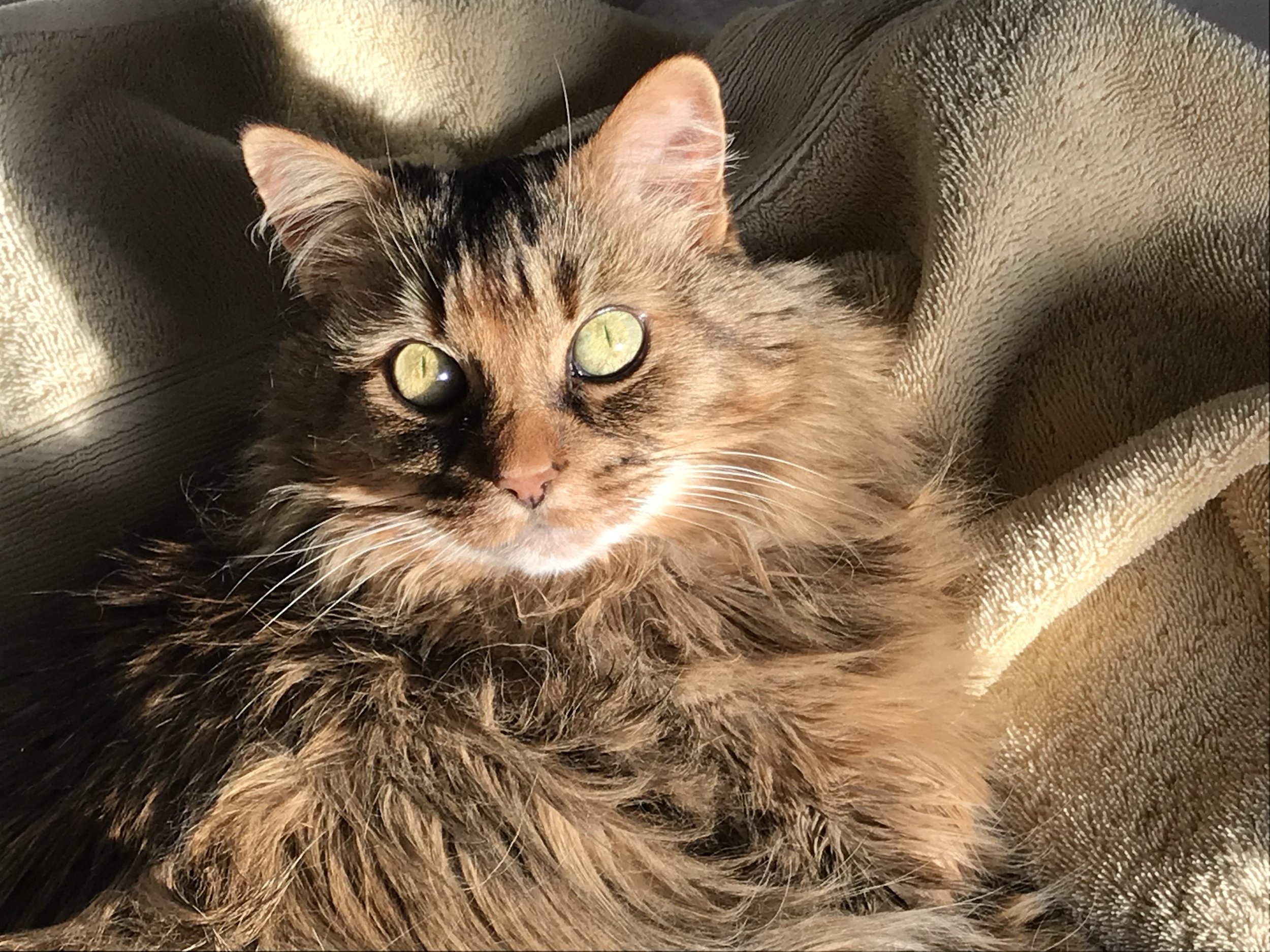 Magical Mystical Mia