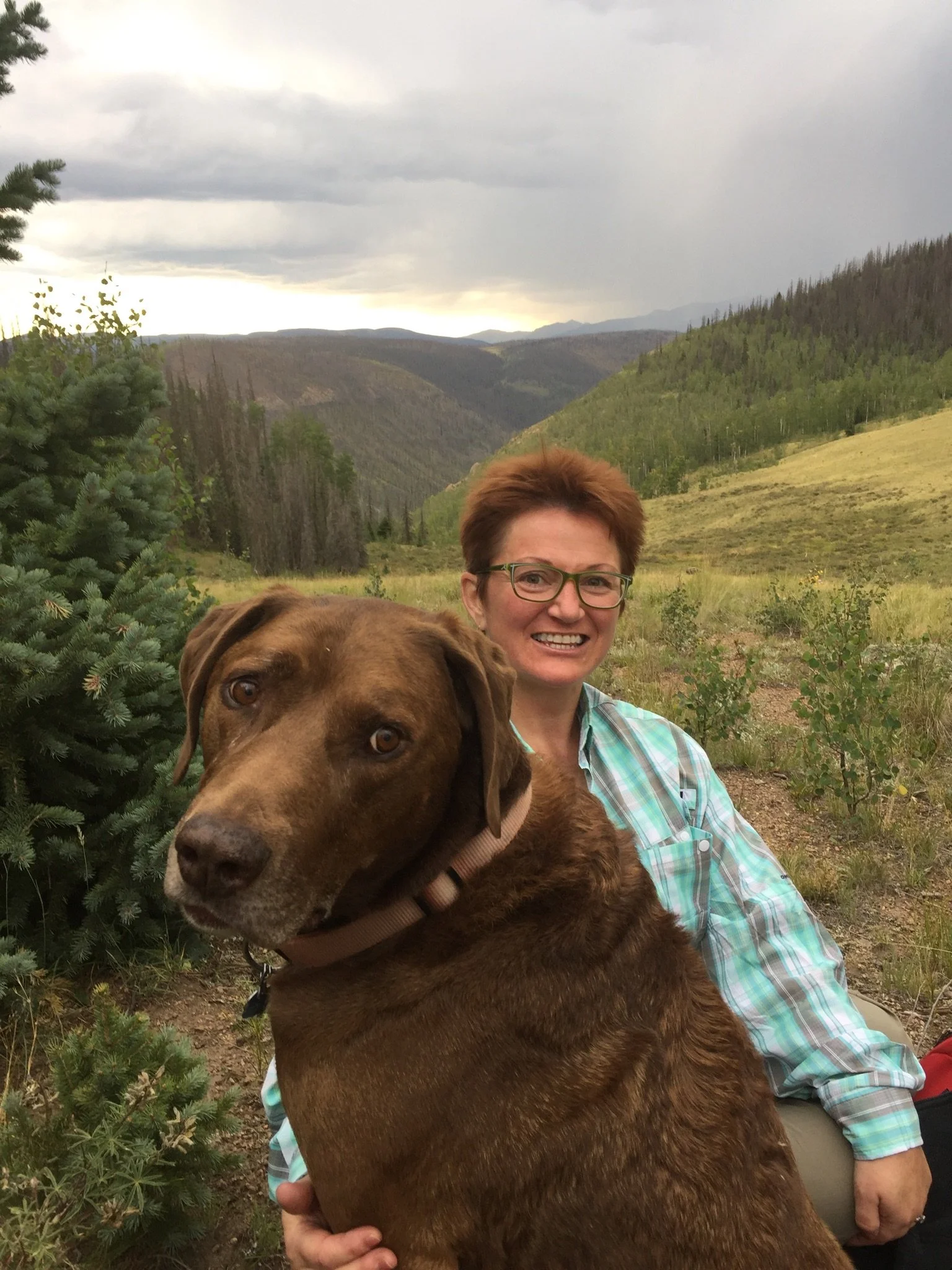 My playful, centering Chesapeake Bay Retriever/ Short Haired Pointer:  Wilbur. Will. Willamina. Up on Mini Mountain in the San Juan Mountain range of the Rockies. Southern Colorado with Ellen Novotny.