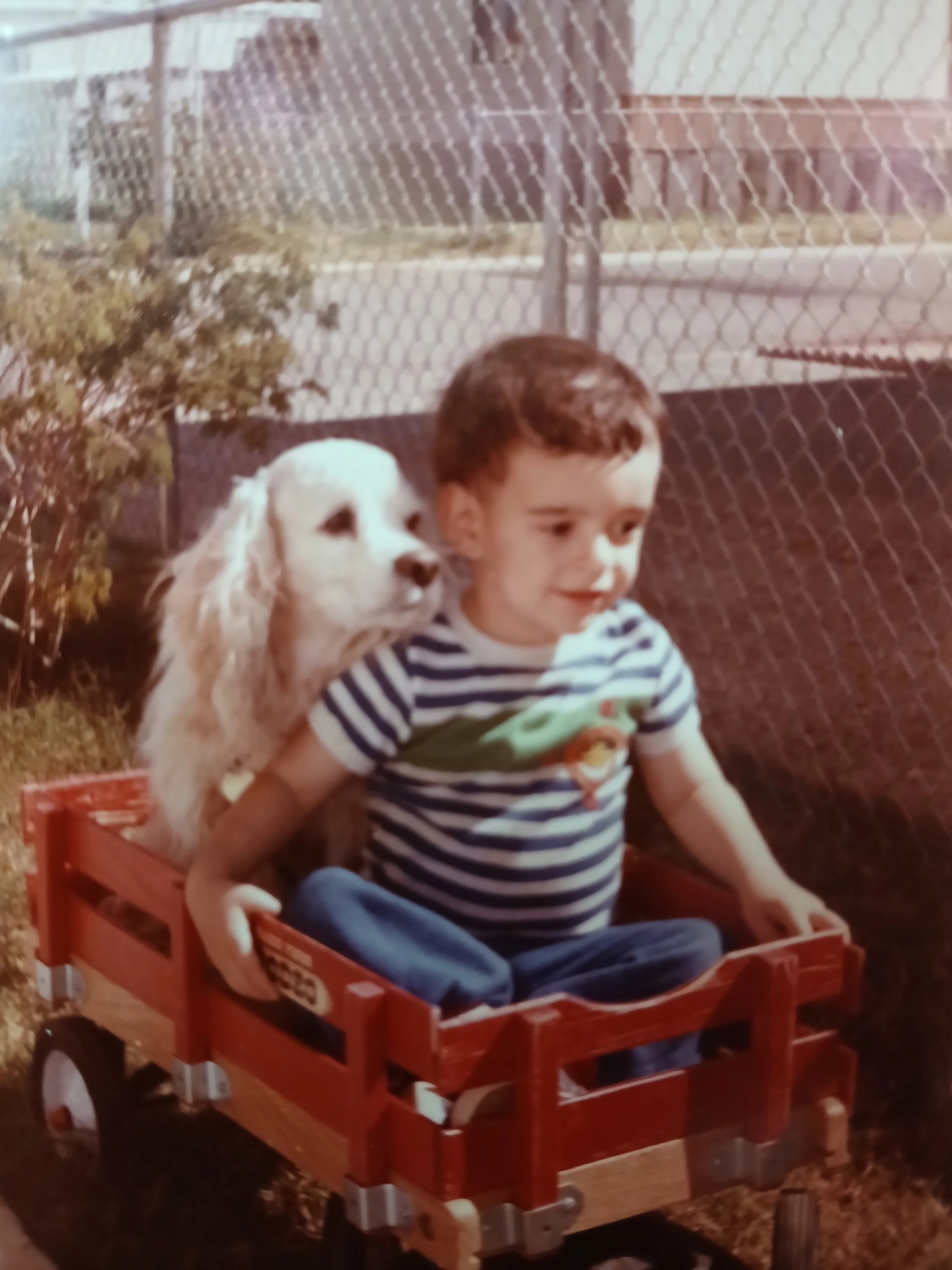 Smackwater Jack Thumping Tumbleweed Daniels