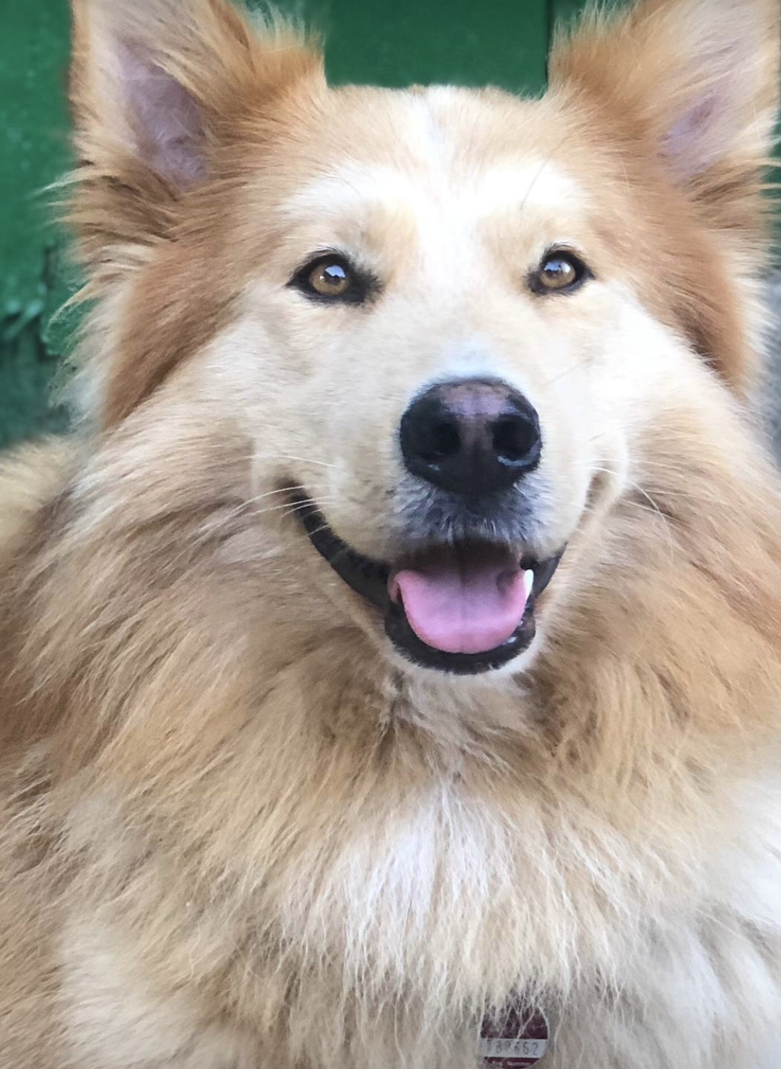 Magnus you are always in my heart.