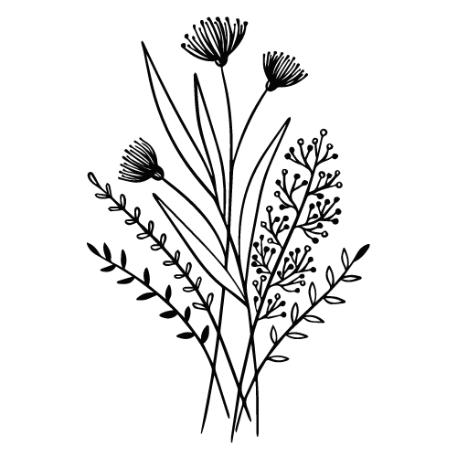 Silhouette of various wildflowers and plants against a black background.