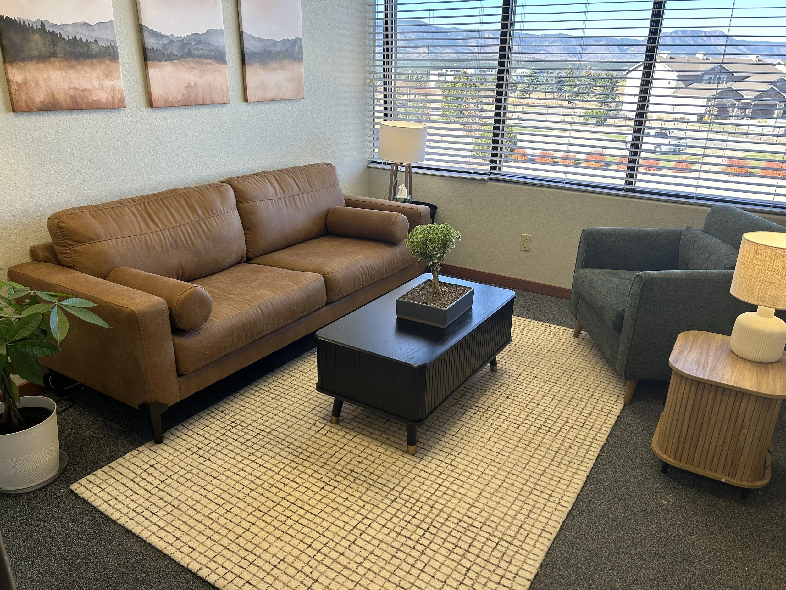 Modern counseling office with brown leather sofa, green armchair, coffee table with plant, side table with lamp, and large window with city view