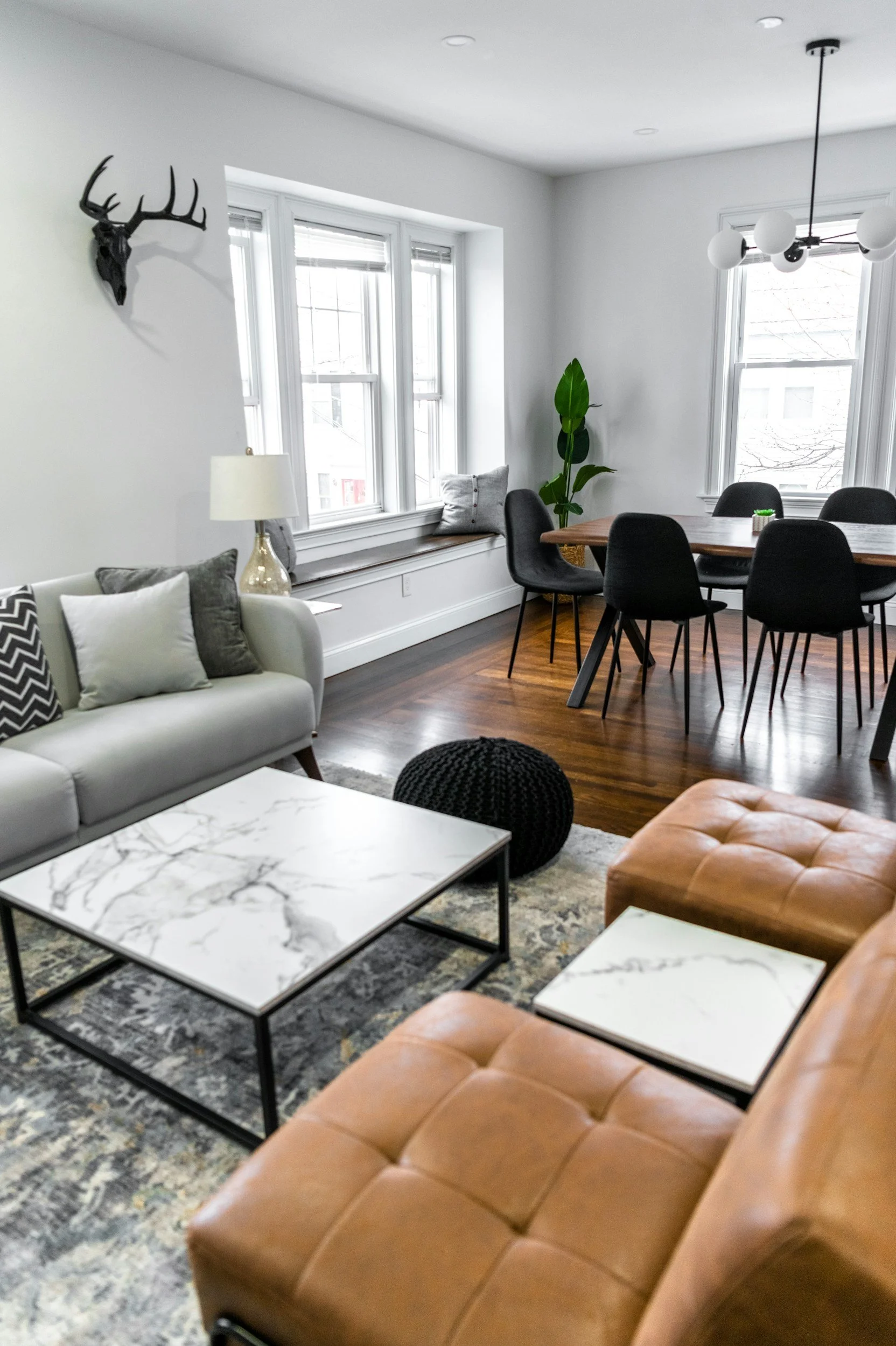Modern living room with white walls, dark hardwood floors, a gray sofa with pillows, a marble coffee table, a leather ottoman, a black pouf, a window seat with cushions, a tall green plant, and a dining table with black chairs. A deer head mounted on