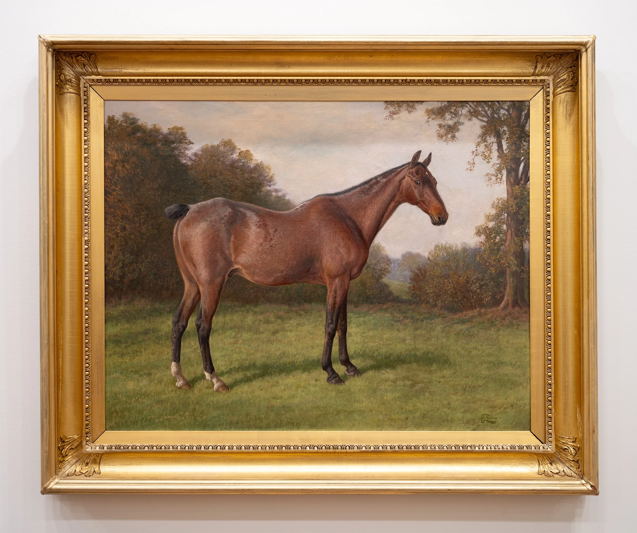Beautiful 19th century oil on canvas horse painting